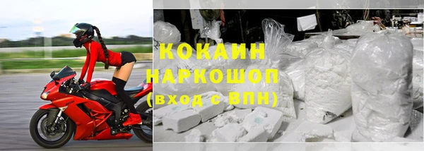 прущие грибы Белокуриха