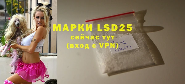 прущие грибы Белокуриха