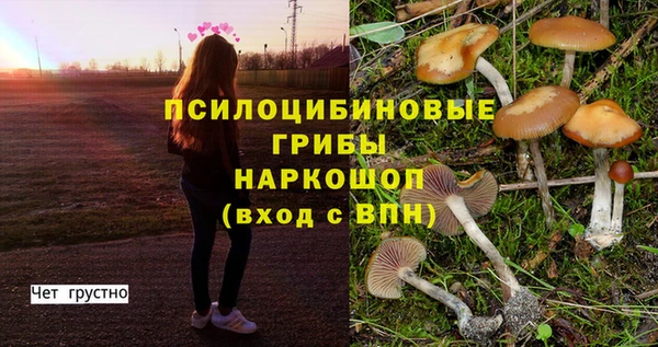винт Беломорск