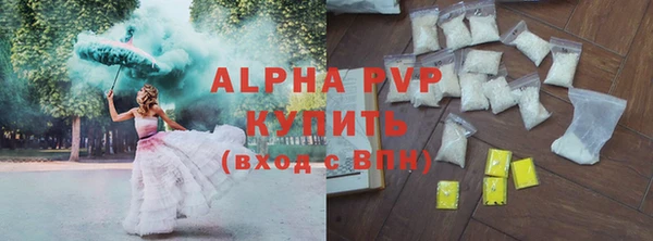 прущие грибы Белокуриха